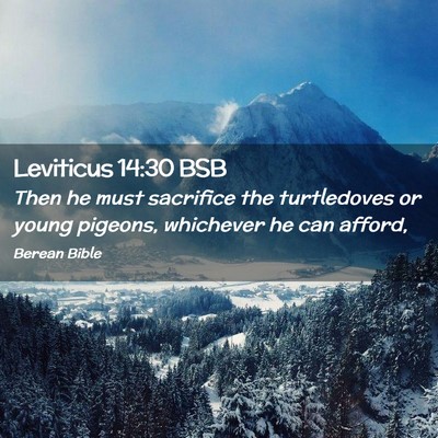 Picture 02 - Leviticus 14:30 BSB - Then he must sacrifice the turtledoves or young - Bible Verse Picture