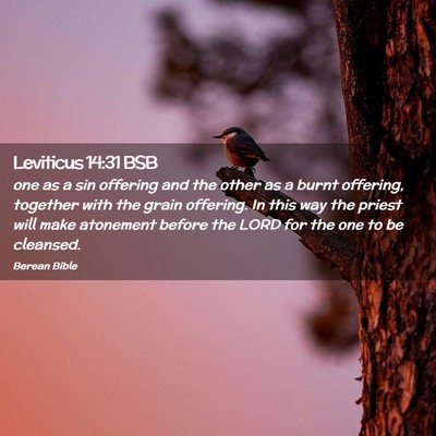 Picture 02 - Leviticus 14:31 BSB - one as a sin offering and the other as a burnt - Bible Verse Picture