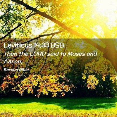 Picture 02 - Leviticus 14:33 BSB - Then the LORD said to Moses and - Bible Verse Picture