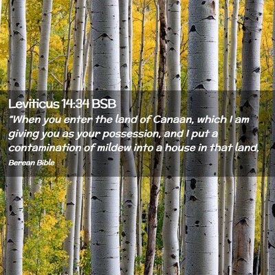 Picture 02 - Leviticus 14:34 BSB - “When you enter the land of Canaan, which I am - Bible Verse Picture