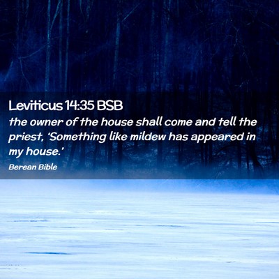 Picture 02 - Leviticus 14:35 BSB - the owner of the house shall come and tell the - Bible Verse Picture