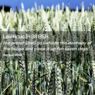Picture 02 - Leviticus 14:38 BSB - the priest shall go outside the doorway of the - Bible Verse Picture