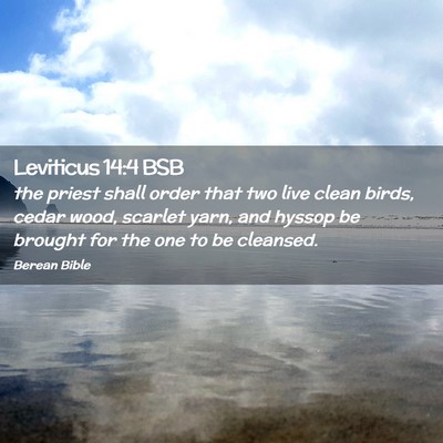 Picture 02 - Leviticus 14:4 BSB - the priest shall order that two live clean birds, - Bible Verse Picture