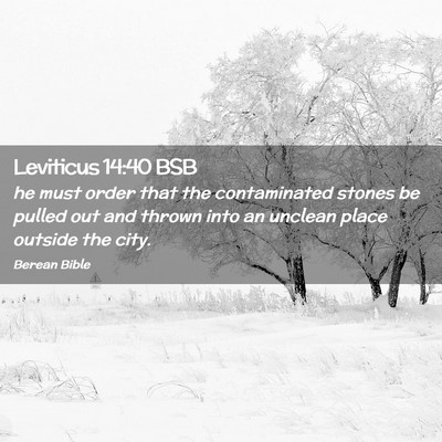 Picture 02 - Leviticus 14:40 BSB - he must order that the contaminated stones be - Bible Verse Picture
