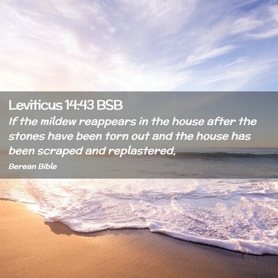 Picture 02 - Leviticus 14:43 BSB - If the mildew reappears in the house after the - Bible Verse Picture