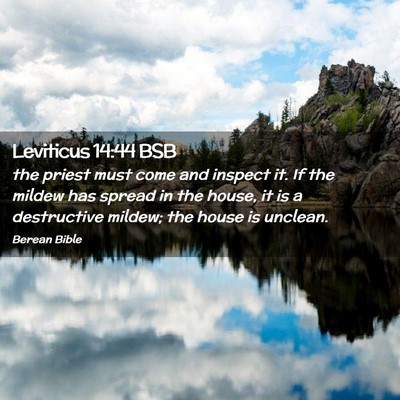 Picture 02 - Leviticus 14:44 BSB - the priest must come and inspect it. If the - Bible Verse Picture