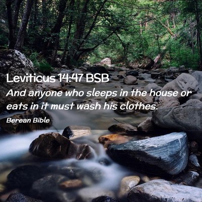 Picture 02 - Leviticus 14:47 BSB - And anyone who sleeps in the house or eats in it - Bible Verse Picture