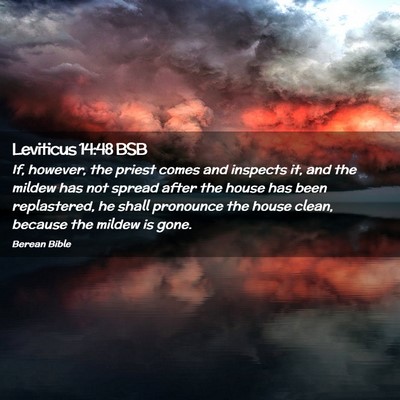 Picture 02 - Leviticus 14:48 BSB - If, however, the priest comes and inspects it, - Bible Verse Picture