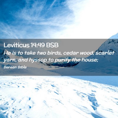 Picture 02 - Leviticus 14:49 BSB - He is to take two birds, cedar wood, scarlet - Bible Verse Picture