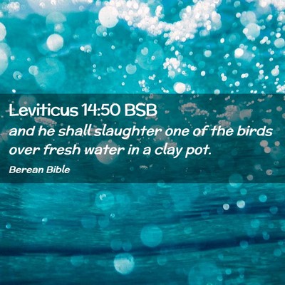 Picture 02 - Leviticus 14:50 BSB - and he shall slaughter one of the birds over - Bible Verse Picture