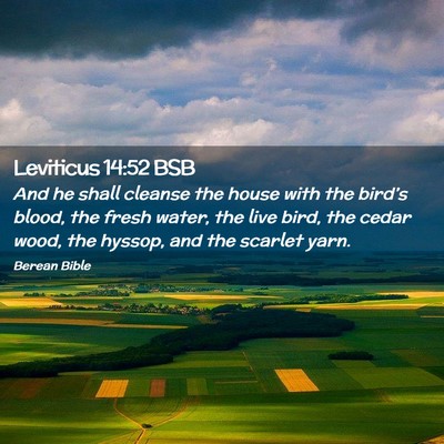 Picture 02 - Leviticus 14:52 BSB - And he shall cleanse the house with the bird’s - Bible Verse Picture