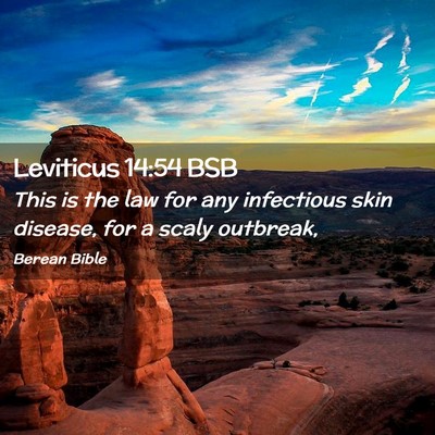 Picture 02 - Leviticus 14:54 BSB - This is the law for any infectious skin disease, - Bible Verse Picture