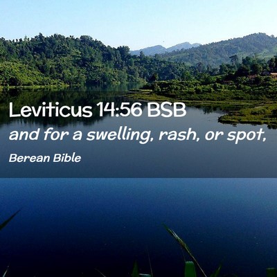 Picture 02 - Leviticus 14:56 BSB - and for a swelling, rash, or - Bible Verse Picture