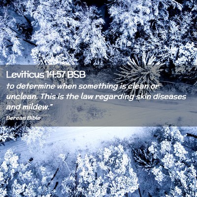 Picture 02 - Leviticus 14:57 BSB - to determine when something is clean or unclean. - Bible Verse Picture
