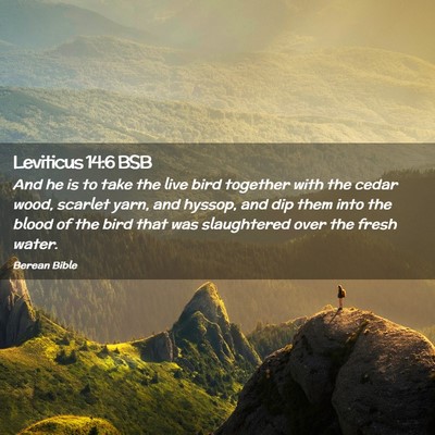 Picture 02 - Leviticus 14:6 BSB - And he is to take the live bird together with the - Bible Verse Picture