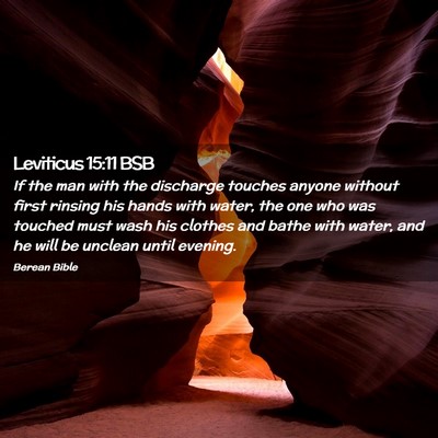 Picture 02 - Leviticus 15:11 BSB - If the man with the discharge touches anyone - Bible Verse Picture