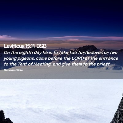 Picture 02 - Leviticus 15:14 BSB - On the eighth day he is to take two turtledoves - Bible Verse Picture