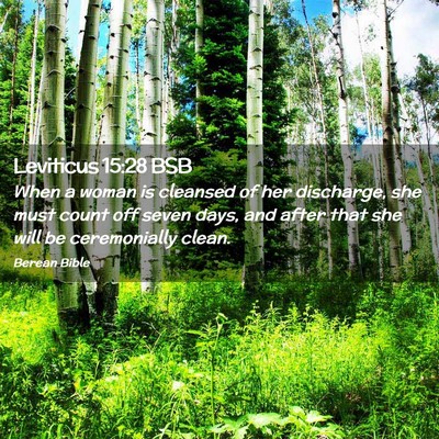 Picture 02 - Leviticus 15:28 BSB - When a woman is cleansed of her discharge, she - Bible Verse Picture