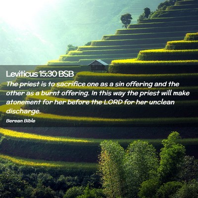 Picture 02 - Leviticus 15:30 BSB - The priest is to sacrifice one as a sin offering - Bible Verse Picture