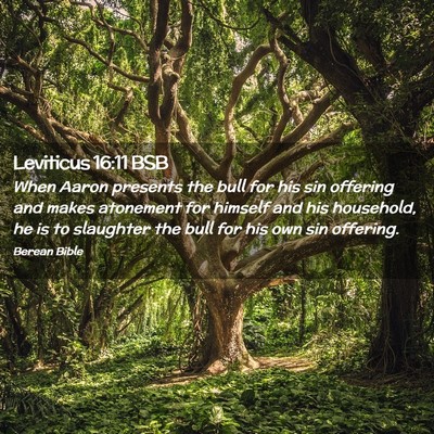 Picture 02 - Leviticus 16:11 BSB - When Aaron presents the bull for his sin offering - Bible Verse Picture