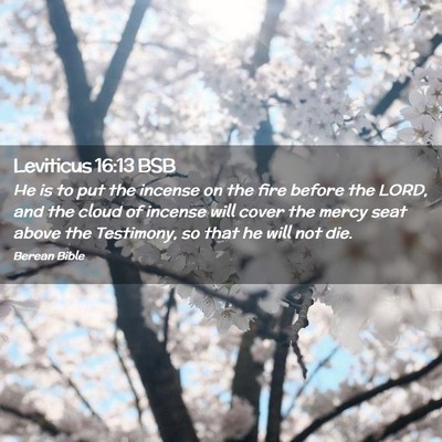 Picture 02 - Leviticus 16:13 BSB - He is to put the incense on the fire before the - Bible Verse Picture