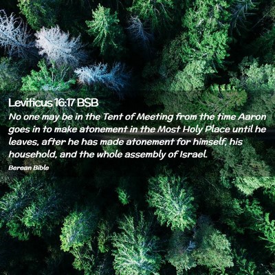 Picture 02 - Leviticus 16:17 BSB - No one may be in the Tent of Meeting from the - Bible Verse Picture