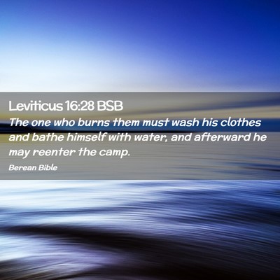 Picture 02 - Leviticus 16:28 BSB - The one who burns them must wash his clothes and - Bible Verse Picture