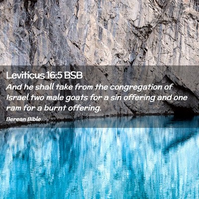 Picture 02 - Leviticus 16:5 BSB - And he shall take from the congregation of Israel - Bible Verse Picture