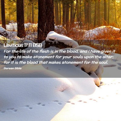 Picture 02 - Leviticus 17:11 BSB - For the life of the flesh is in the blood, and I - Bible Verse Picture