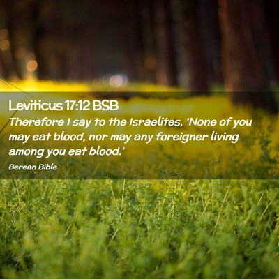 Picture 02 - Leviticus 17:12 BSB - Therefore I say to the Israelites, ‘None of you - Bible Verse Picture