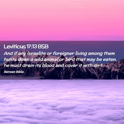 Picture 02 - Leviticus 17:13 BSB - And if any Israelite or foreigner living among - Bible Verse Picture