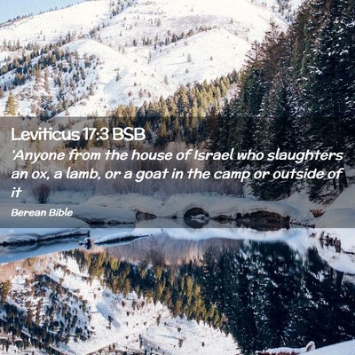 Picture 02 - Leviticus 17:3 BSB - ‘Anyone from the house of Israel who slaughters - Bible Verse Picture