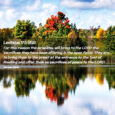 Picture 02 - Leviticus 17:5 BSB - For this reason the Israelites will bring to the - Bible Verse Picture