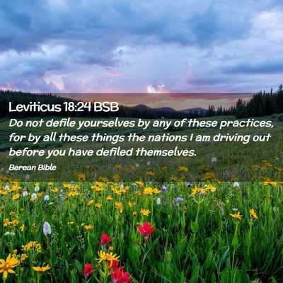 Picture 02 - Leviticus 18:24 BSB - Do not defile yourselves by any of these - Bible Verse Picture