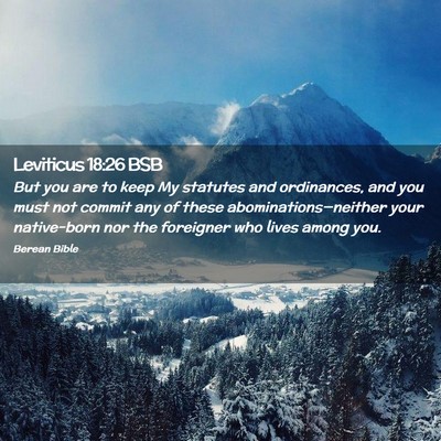 Picture 02 - Leviticus 18:26 BSB - But you are to keep My statutes and ordinances, - Bible Verse Picture