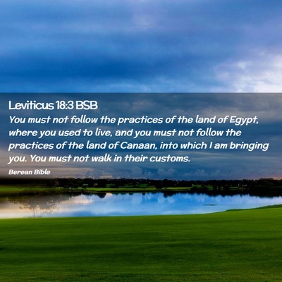 Picture 02 - Leviticus 18:3 BSB - You must not follow the practices of the land of - Bible Verse Picture