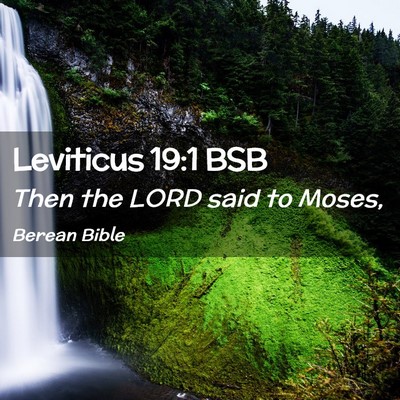 Picture 02 - Leviticus 19:1 BSB - Then the LORD said to - Bible Verse Picture