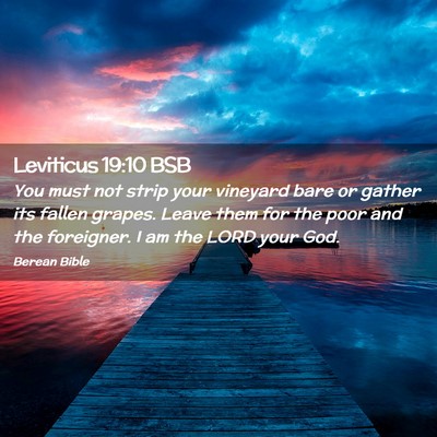 Picture 02 - Leviticus 19:10 BSB - You must not strip your vineyard bare or gather - Bible Verse Picture