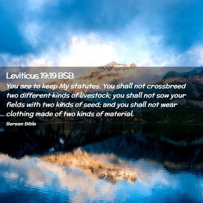 Picture 02 - Leviticus 19:19 BSB - You are to keep My statutes. You shall not - Bible Verse Picture