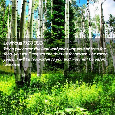Picture 02 - Leviticus 19:23 BSB - When you enter the land and plant any kind of - Bible Verse Picture