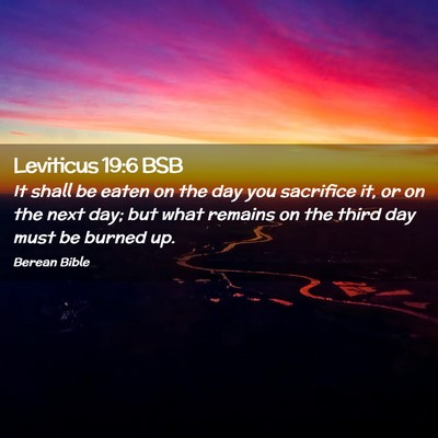 Picture 02 - Leviticus 19:6 BSB - It shall be eaten on the day you sacrifice it, or - Bible Verse Picture