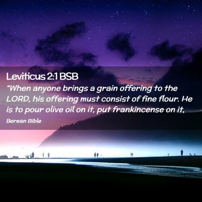 Picture 02 - Leviticus 2:1 BSB - “When anyone brings a grain offering to the - Bible Verse Picture