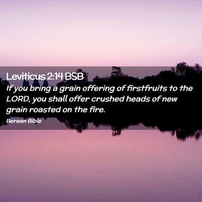 Picture 02 - Leviticus 2:14 BSB - If you bring a grain offering of firstfruits to - Bible Verse Picture