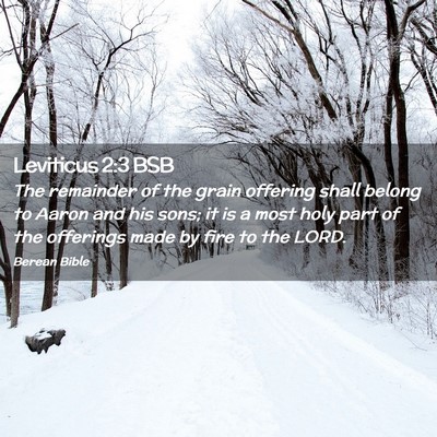 Picture 02 - Leviticus 2:3 BSB - The remainder of the grain offering shall belong - Bible Verse Picture