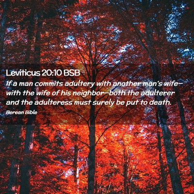 Picture 02 - Leviticus 20:10 BSB - If a man commits adultery with another man’s - Bible Verse Picture