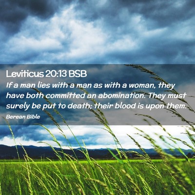 Picture 02 - Leviticus 20:13 BSB - If a man lies with a man as with a woman, they - Bible Verse Picture