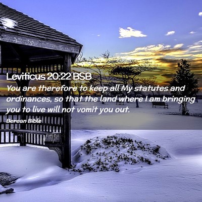Picture 02 - Leviticus 20:22 BSB - You are therefore to keep all My statutes and - Bible Verse Picture