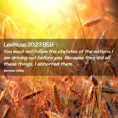 Picture 02 - Leviticus 20:23 BSB - You must not follow the statutes of the nations I - Bible Verse Picture