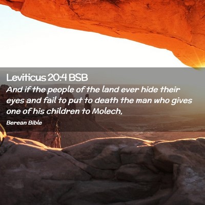 Picture 02 - Leviticus 20:4 BSB - And if the people of the land ever hide their - Bible Verse Picture