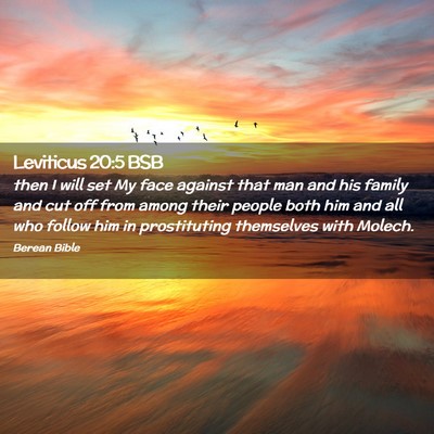 Picture 02 - Leviticus 20:5 BSB - then I will set My face against that man and his - Bible Verse Picture